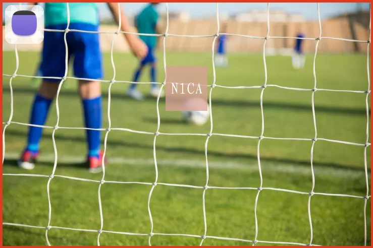 N1CA